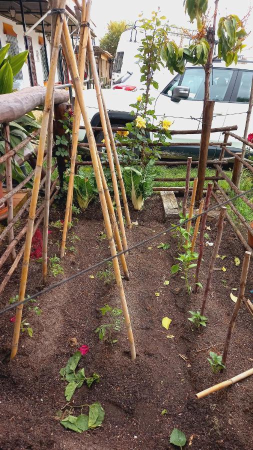 Pensjonat Jardines Del Acebron El Rocío Zewnętrze zdjęcie