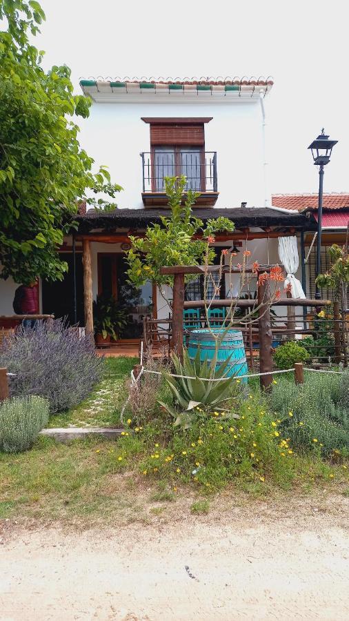 Pensjonat Jardines Del Acebron El Rocío Zewnętrze zdjęcie